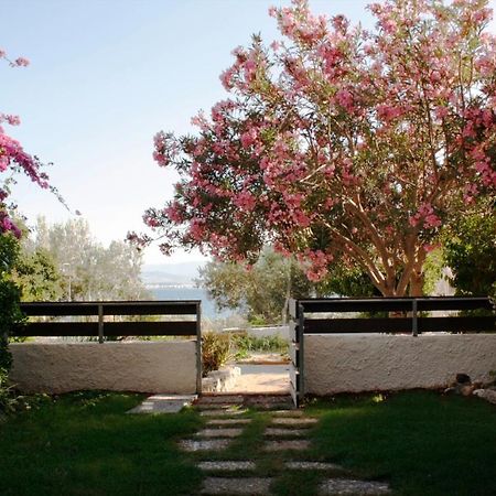 Beachfront Garden Apartment- Atlas Complex ルートラキ エクステリア 写真