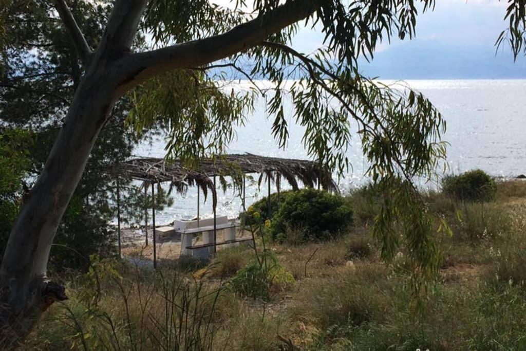 Beachfront Garden Apartment- Atlas Complex ルートラキ エクステリア 写真